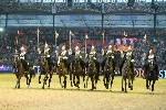 Cavalry - 00291